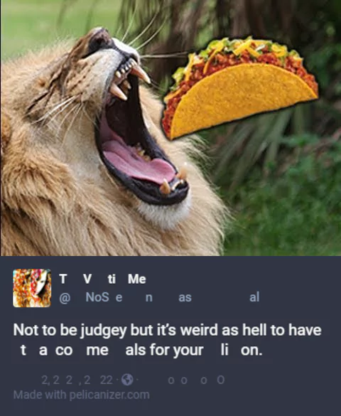 Not to be judgey but it's weird as hell to have taco meals for your lion.