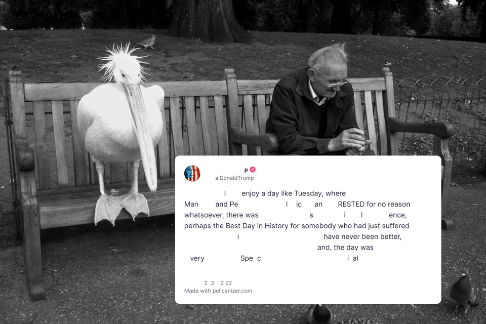 I enjoy a day like Tuesday, where Man and Pelican RESTED for no reason whatsoever, there was silence, perhaps the Best Day in History for somebody who had just suffered
i have never been better, and, the day was very Special